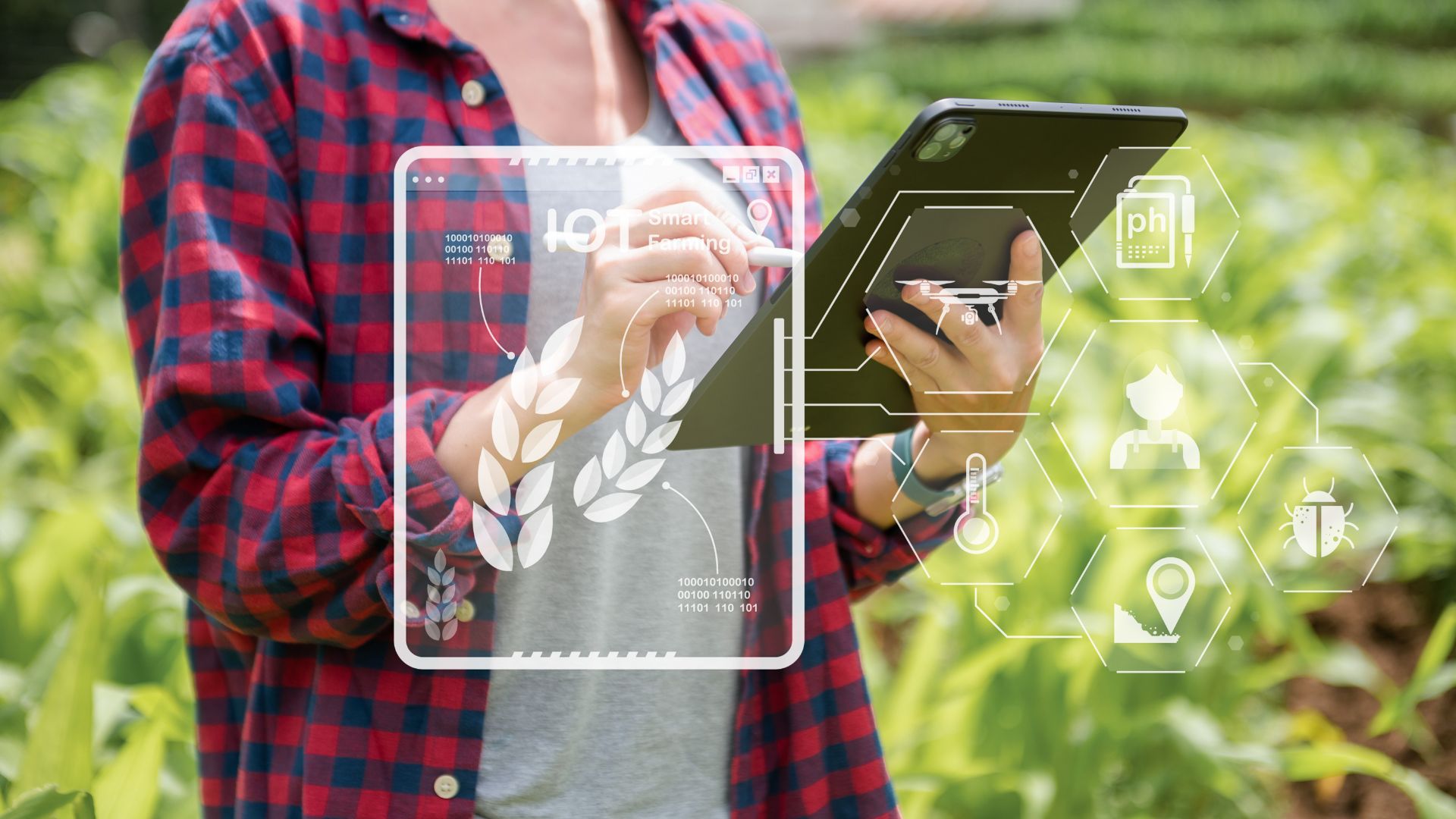 tehnologii agricultură, agricultura smart, digitalizarea agriculturii, agricultură AI, aplicații AI pentru monitorizarea culturilor